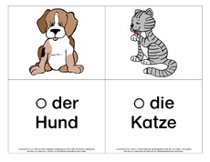 Bild-Wort-Karten-Tiere-A-2.pdf